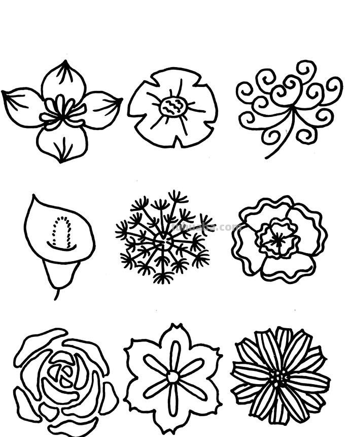 近百种花儿的简笔画~