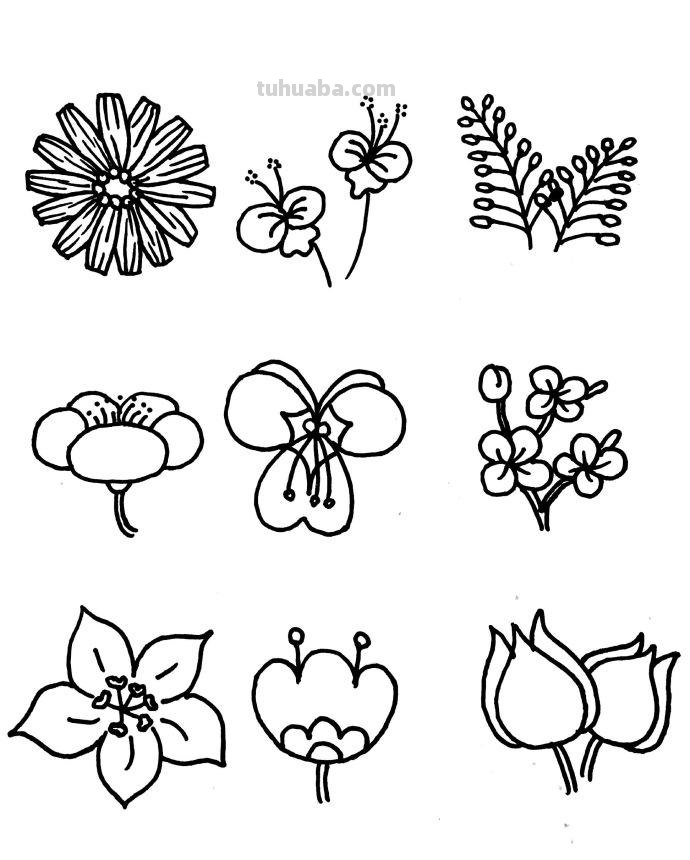 近百种花儿的简笔画~