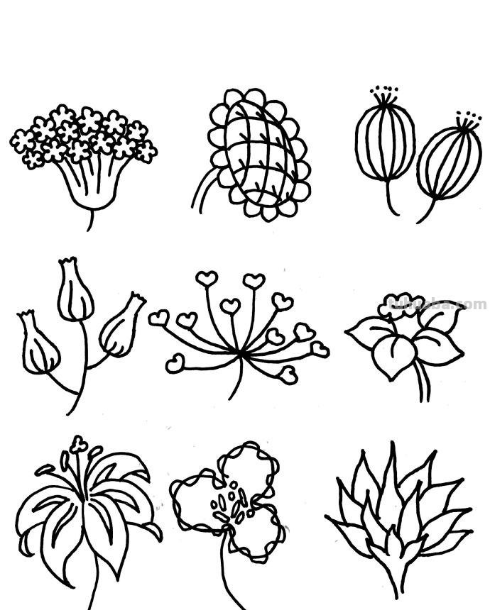 近百种花儿的简笔画~