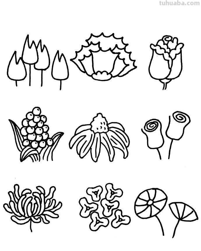 近百种花儿的简笔画~