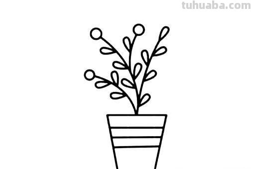 81种盆栽植物简笔画，超级简单，这个周末陪孩子在家画吧！