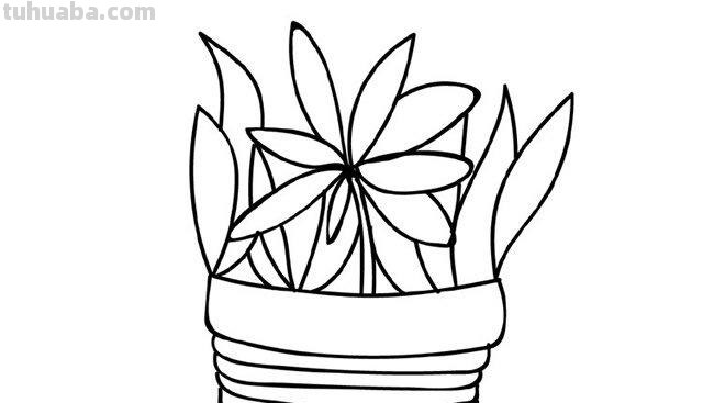 81种盆栽植物简笔画，超级简单，这个周末陪孩子在家画吧！