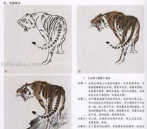 图文教程:写意虎技法,收藏起来好好学