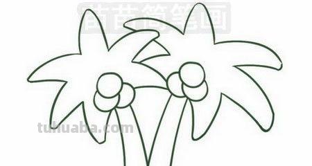 怎样画椰子树简笔画 怎样画椰子树简笔画图片大全
