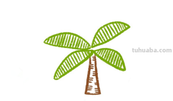 椰子树怎么画简单又漂亮图片