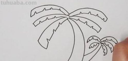 椰子树怎么画 简单