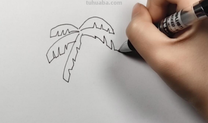 椰子树怎么画简笔画 海边
