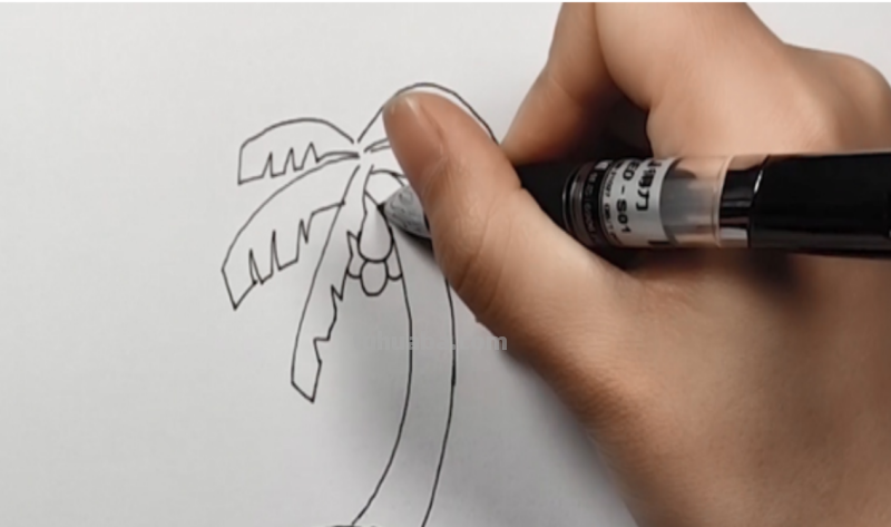 椰子树怎么画简笔画 海边