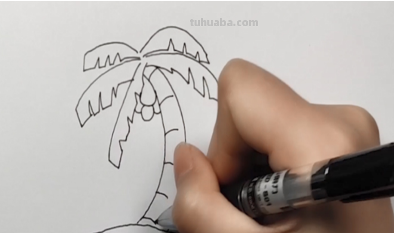 椰子树怎么画简笔画 海边