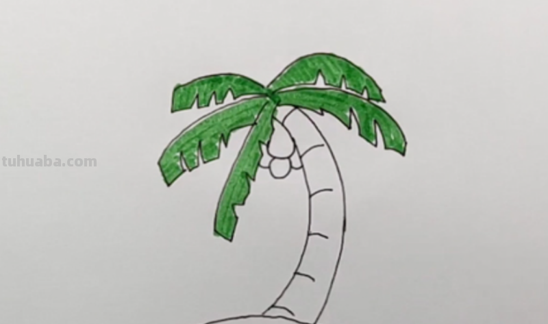 椰子树怎么画简笔画 海边