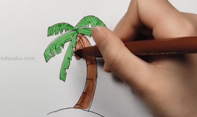 椰子树怎么画简笔画 海边