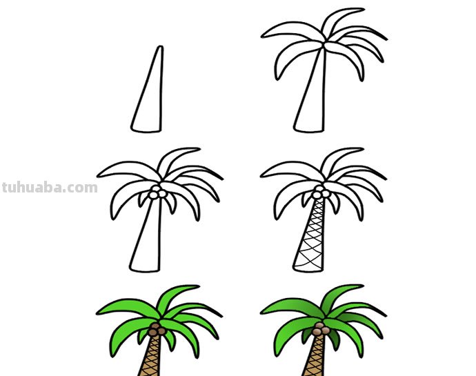 椰子树怎么画