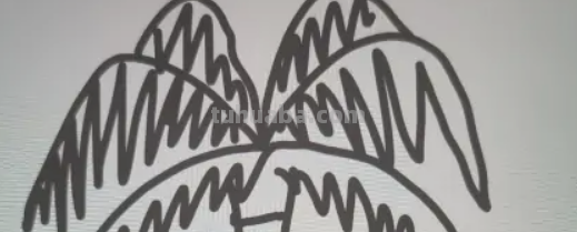 椰子树怎么画