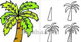 椰子树怎么画