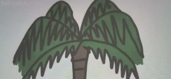 椰子树怎么画