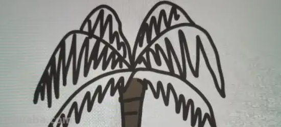 椰子树怎么画