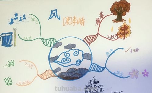 风怎么组成思维导图 风字是什么结构？
