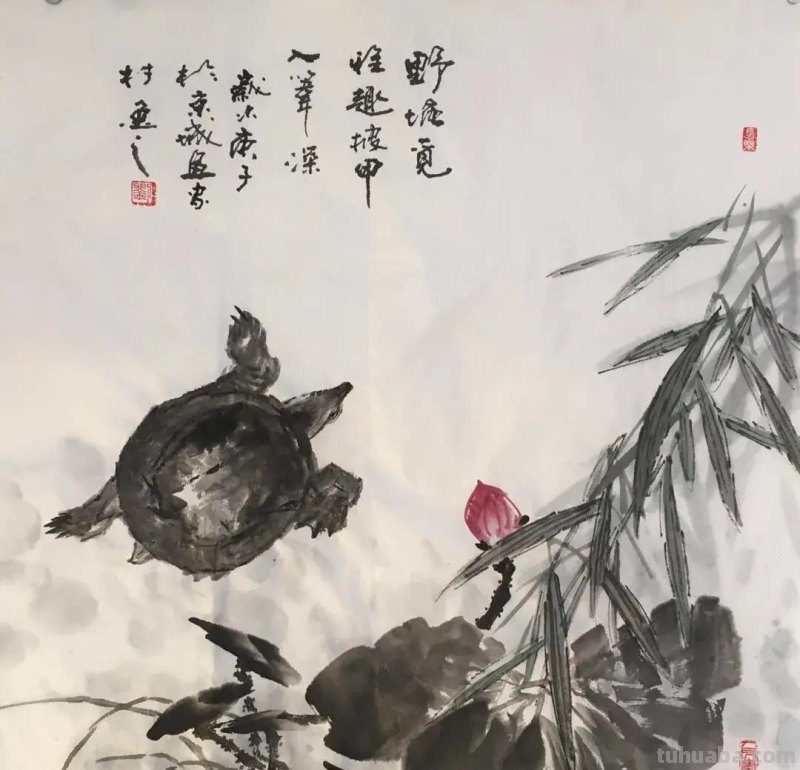 国画甲鱼的写生画习作
