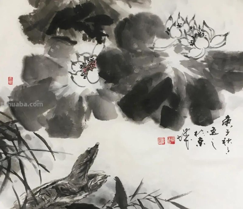 国画甲鱼的写生画习作