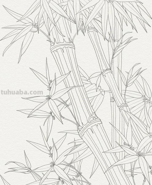 竹子简笔画 竹子简笔画好看又简单