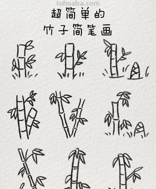 竹子简笔画 竹子简笔画好看又简单