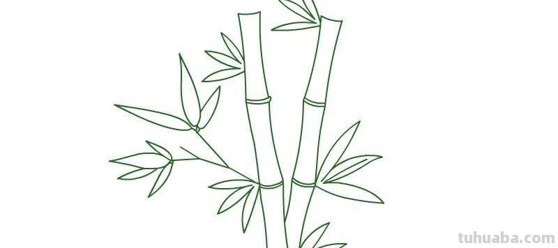 竹子简笔画 竹子简笔画好看又简单