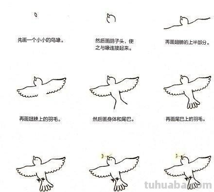 小动物简笔画教程，快马起来学 ( •́ .̫ •̀ ) ​