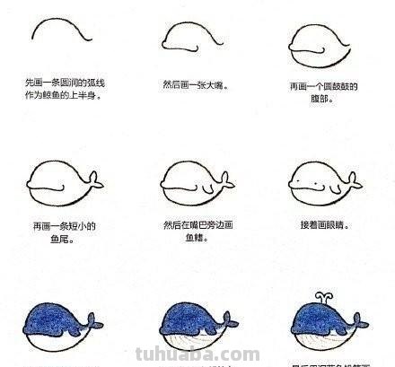 小动物简笔画教程，快马起来学 ( •́ .̫ •̀ ) ​
