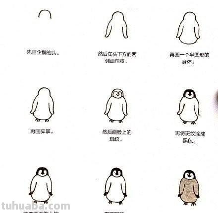 小动物简笔画教程，快马起来学 ( •́ .̫ •̀ ) ​