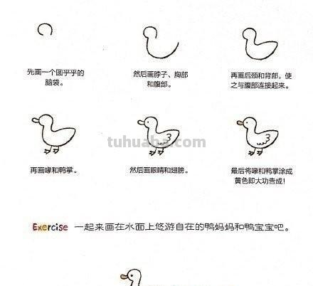 小动物简笔画教程，快马起来学 ( •́ .̫ •̀ ) ​