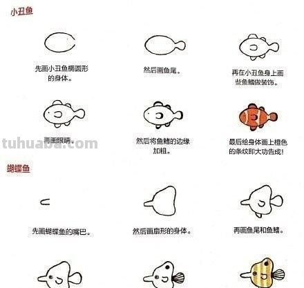小动物简笔画教程，快马起来学 ( •́ .̫ •̀ ) ​
