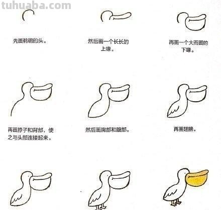 小动物简笔画教程，快马起来学 ( •́ .̫ •̀ ) ​