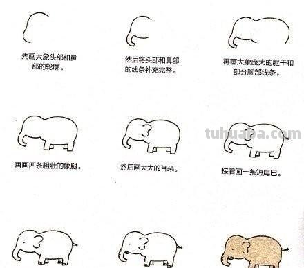 小动物简笔画教程，快马起来学 ( •́ .̫ •̀ ) ​