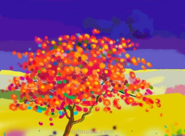 初中的色彩：丰富多彩的世界 