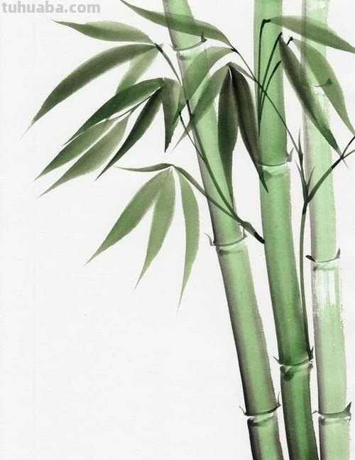 如何用色彩画出竹子？ 