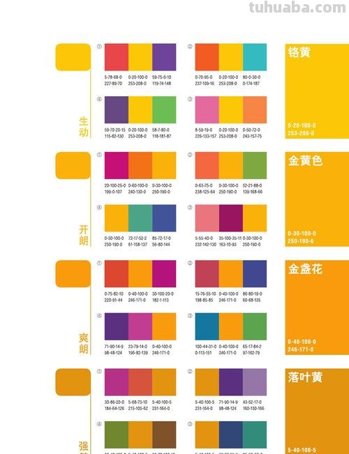 活泼色彩及活泼色彩搭配 