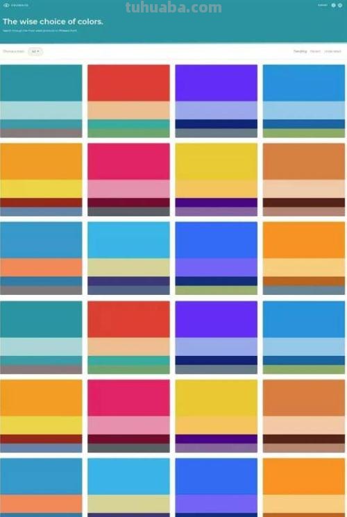 活泼色彩及活泼色彩搭配 