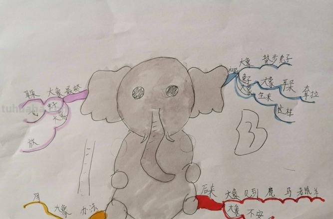 大象喜欢什么思维导图 大象喜欢什么，狮子喜欢什么？