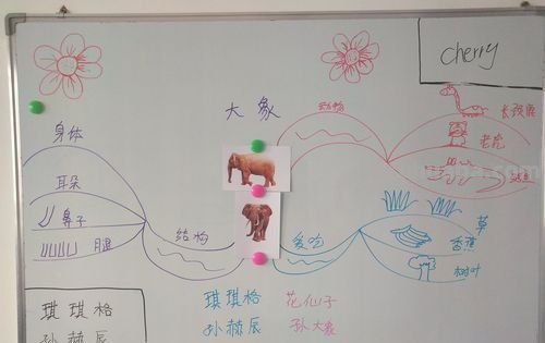 大象喜欢什么思维导图 大象喜欢什么，狮子喜欢什么？