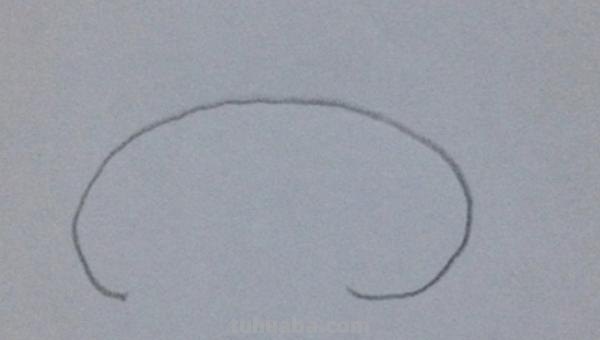 简笔画猪怎么画 10秒画一只猪？