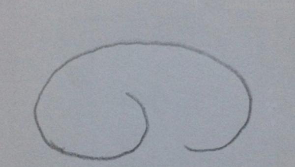 简笔画猪怎么画 10秒画一只猪？