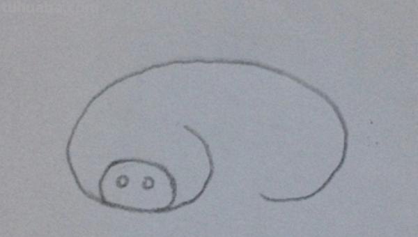 简笔画猪怎么画 10秒画一只猪？