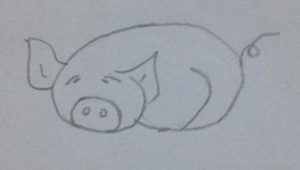 简笔画猪怎么画 10秒画一只猪？