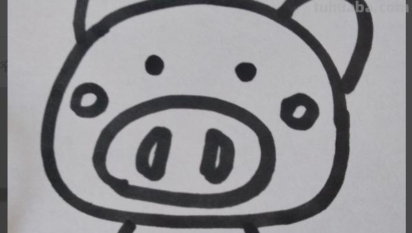 简笔画猪怎么画 10秒画一只猪？