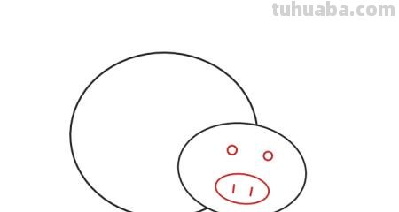 简笔画猪怎么画 10秒画一只猪？