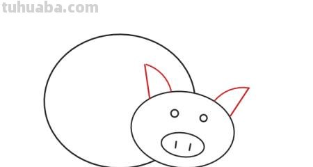 简笔画猪怎么画 10秒画一只猪？