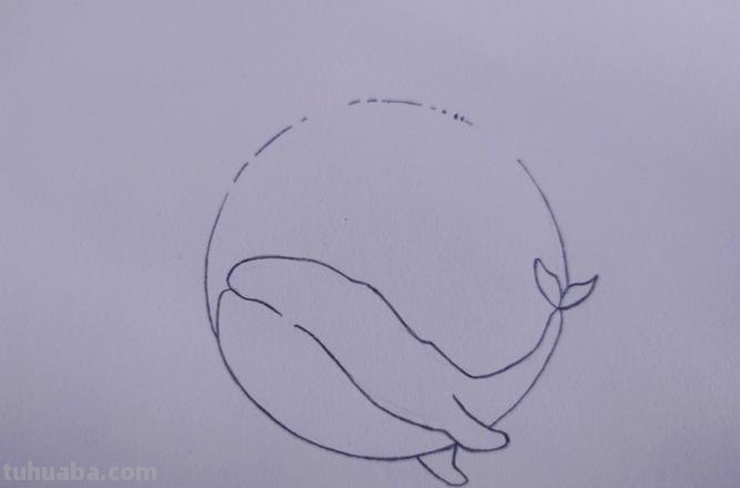 鲸鱼怎么画 鲸鱼怎么画 梦幻
