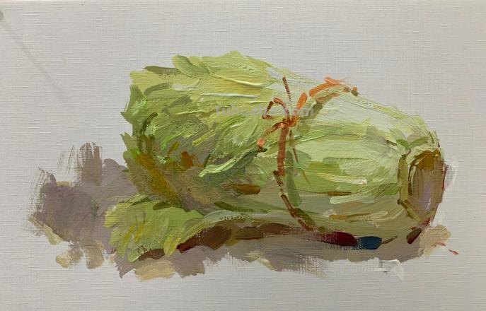 色彩大白菜的画法步骤及技巧 