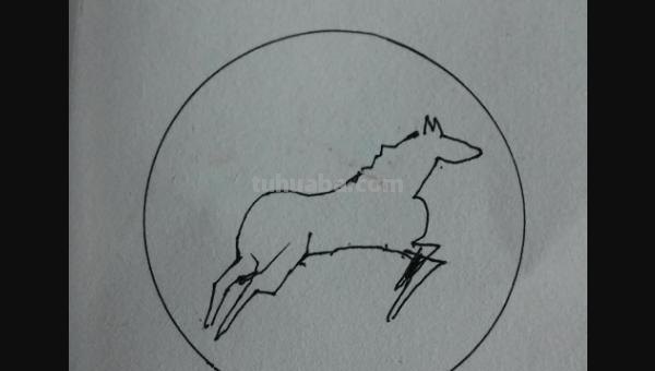 河马怎么画简笔画 画河马要涂什么颜色？