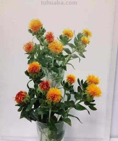 水彩画家的人物作品，让人膜拜